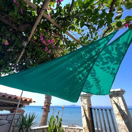 Villa Rena In Front Of The Sea Arkoudi Exterior photo