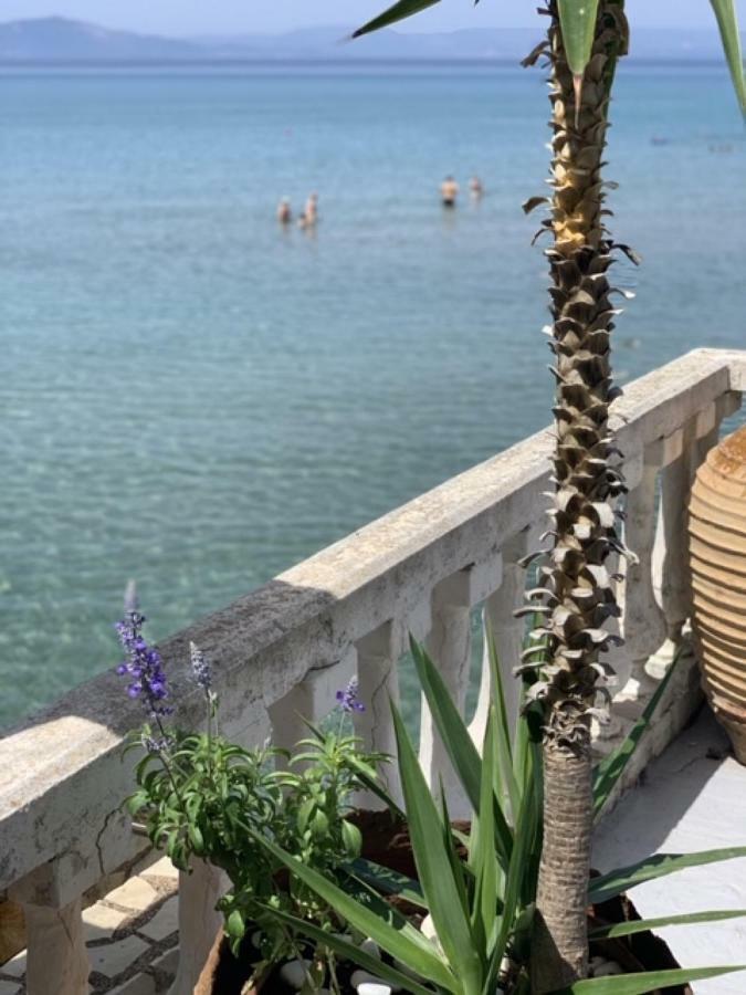 Villa Rena In Front Of The Sea Arkoudi Exterior photo